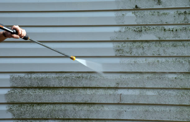 Best House Pressure Washing  in Mckinleyville, CA